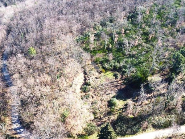 terreno agricolo in vendita a Pistoia in zona Valdibrana