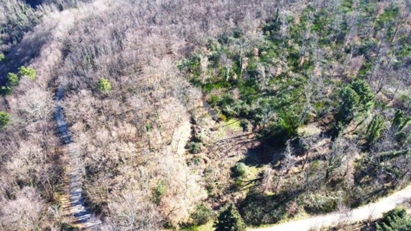 terreno agricolo in vendita a Pistoia in zona La Cugna