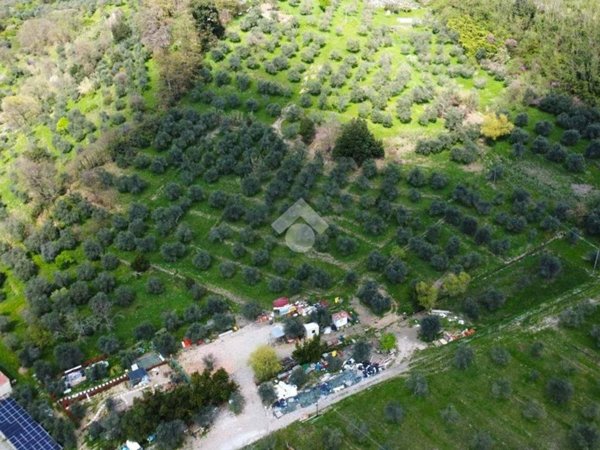 terreno agricolo in vendita a Pistoia in zona San Felice