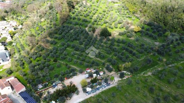 terreno agricolo in vendita a Pistoia in zona San Felice