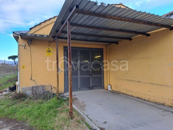 negozio in vendita a Pistoia in zona Bottegone