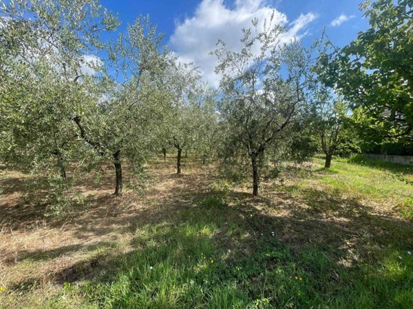 terreno edificabile in vendita a Pistoia