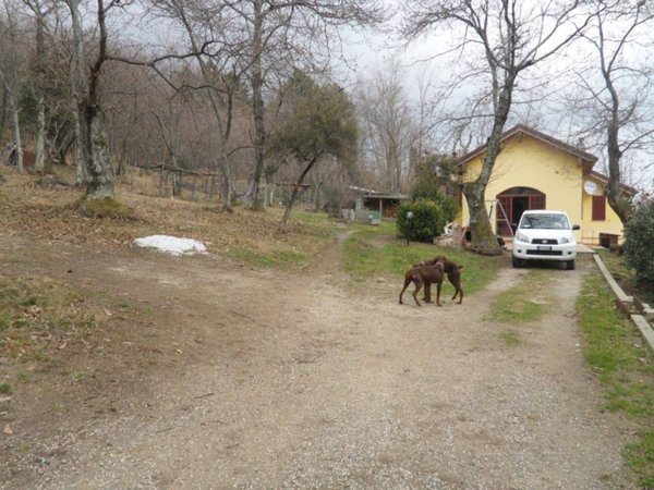 casa indipendente in vendita a Pistoia in zona Campiglio