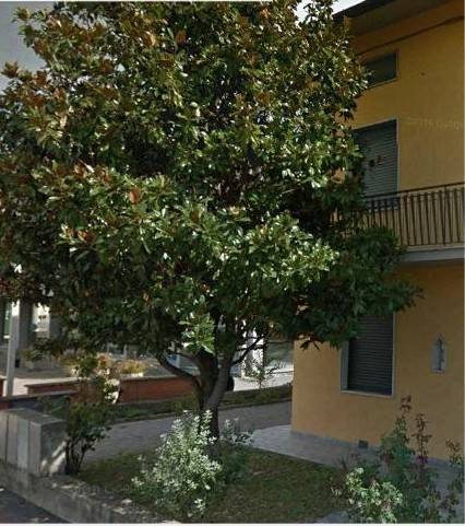 casa indipendente in vendita a Pistoia in zona Spazzavento