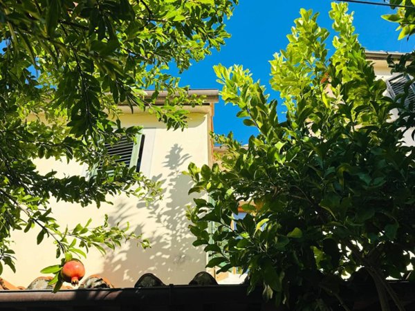 casa indipendente in vendita a Pistoia in zona Centro Città