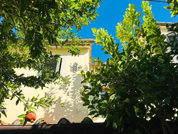 casa indipendente in vendita a Pistoia in zona Centro Città