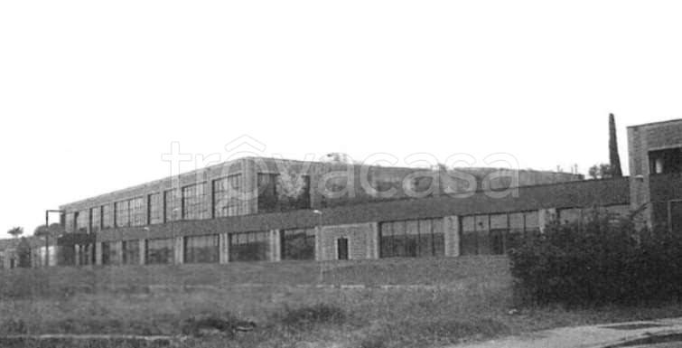 appartamento in vendita a Pistoia