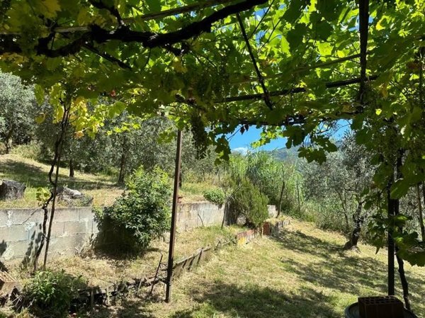 terreno agricolo in vendita a Pistoia in zona Valdibrana