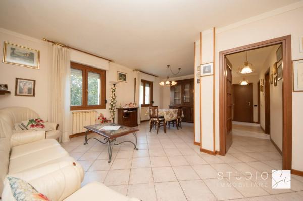 appartamento in vendita a Pistoia in zona Spazzavento