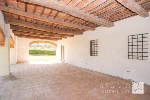 negozio in vendita a Pistoia in zona Spazzavento