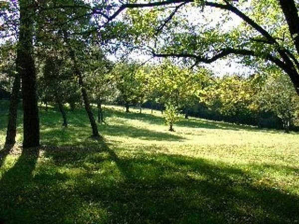 appartamento in vendita a Pistoia in zona Spazzavento