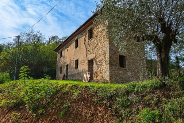 esavano in vendita a Pistoia in zona Bottegone