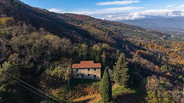 esavano in vendita a Pistoia in zona Bottegone