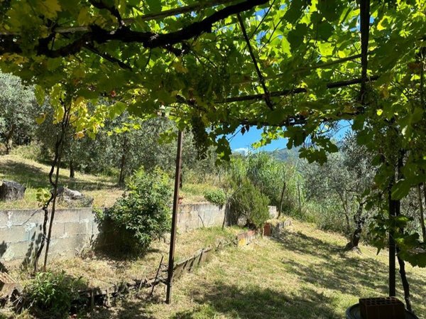 terreno agricolo in vendita a Pistoia in zona Valdibrana