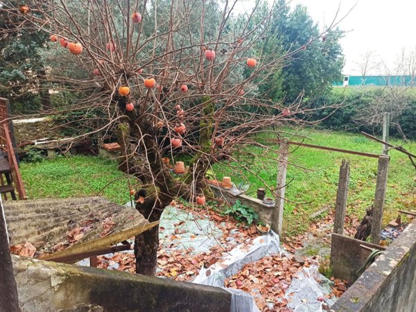 casa indipendente in vendita a Pistoia in zona Stadio