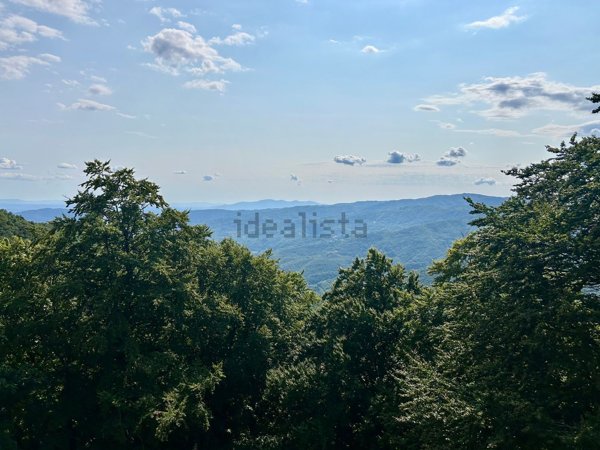 appartamento in vendita a Pistoia in zona San Felice