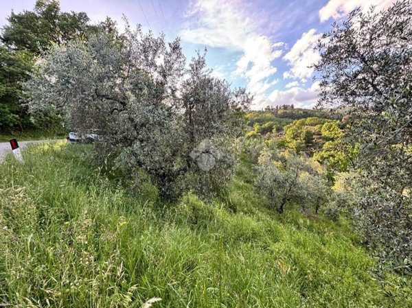 terreno agricolo in vendita a Pistoia in zona Campiglio