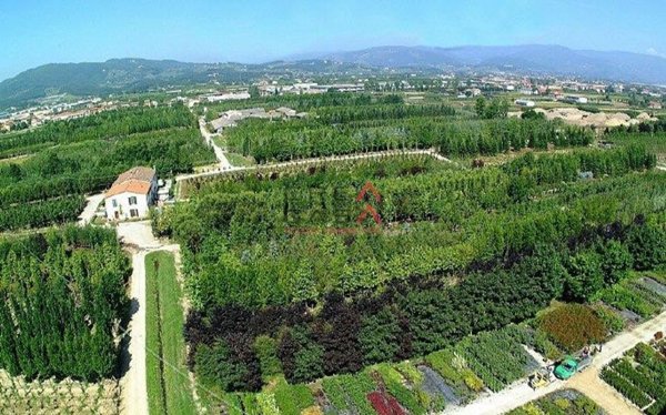 terreno agricolo in vendita a Pistoia