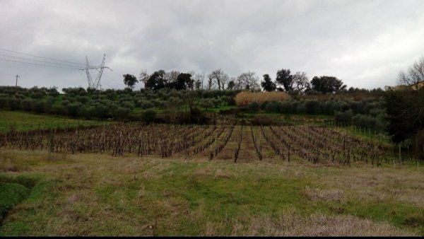 terreno agricolo in vendita a Pistoia