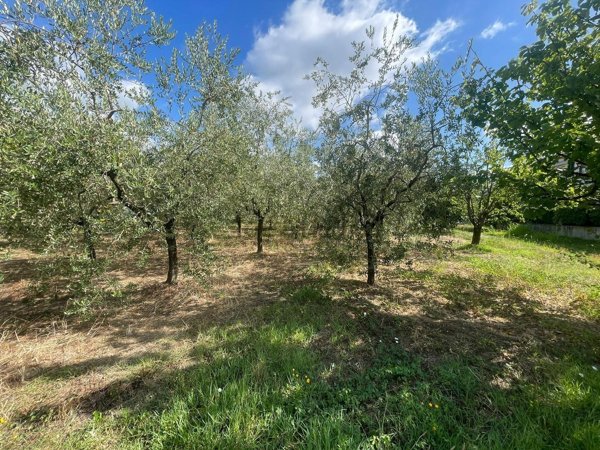 terreno agricolo in vendita a Pistoia