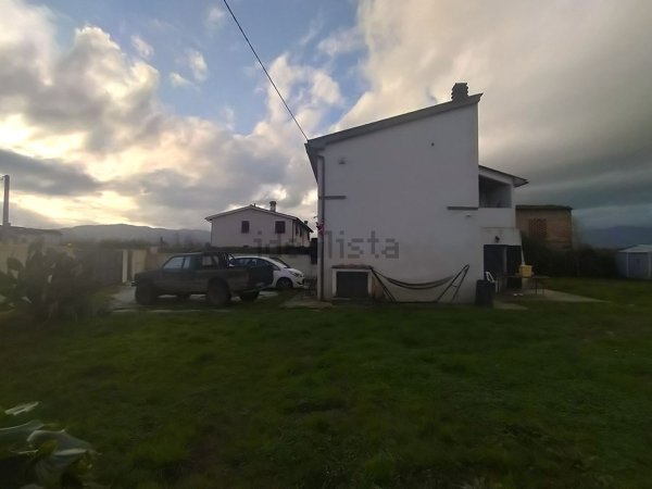 esavano in vendita a Pistoia in zona Bottegone