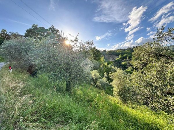 terreno agricolo in vendita a Pistoia in zona San Felice