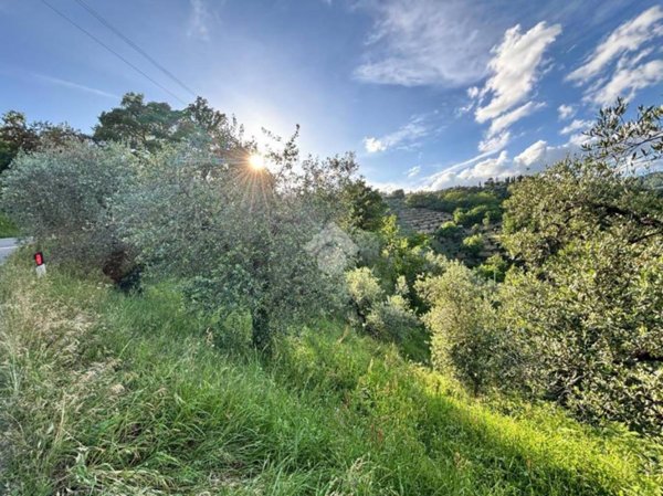 terreno agricolo in vendita a Pistoia in zona Campiglio
