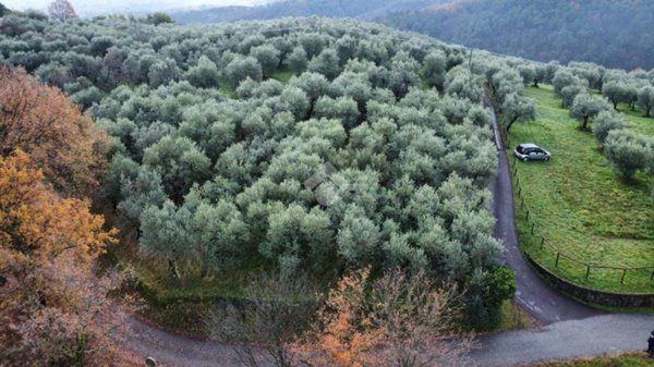 terreno agricolo in vendita a Pistoia in zona Campiglio