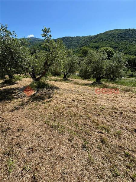 terreno agricolo in vendita a Pistoia in zona San Felice