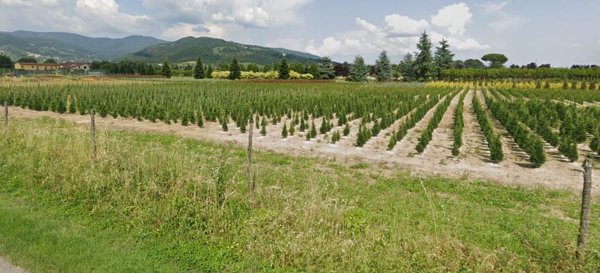 terreno agricolo in vendita a Pistoia in zona Cacciaia