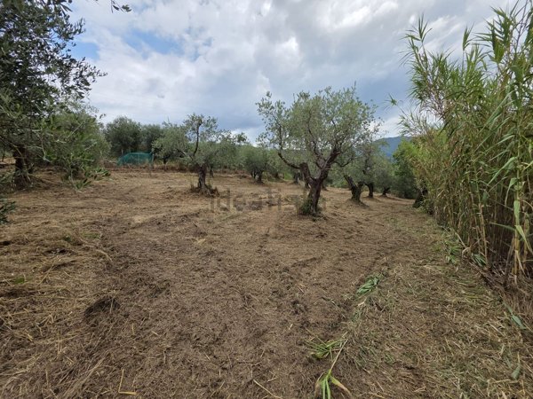 terreno agricolo in vendita a Pistoia in zona Baggio