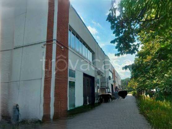 negozio in vendita a Pistoia