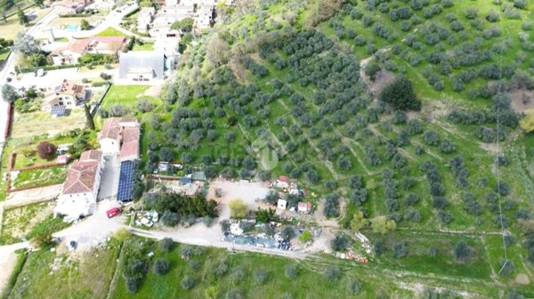 terreno agricolo in vendita a Pistoia in zona San Felice