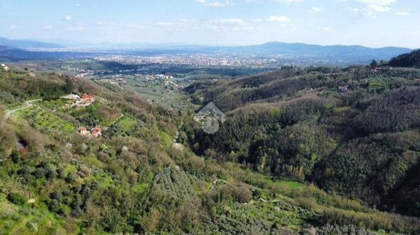 terreno agricolo in vendita a Pistoia in zona Cireglio