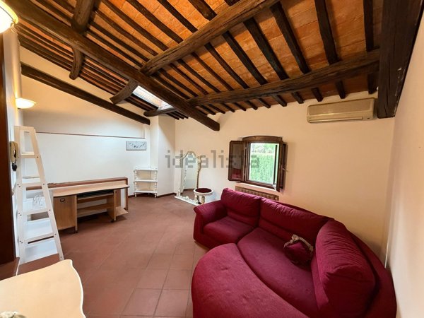 esavano in vendita a Pistoia