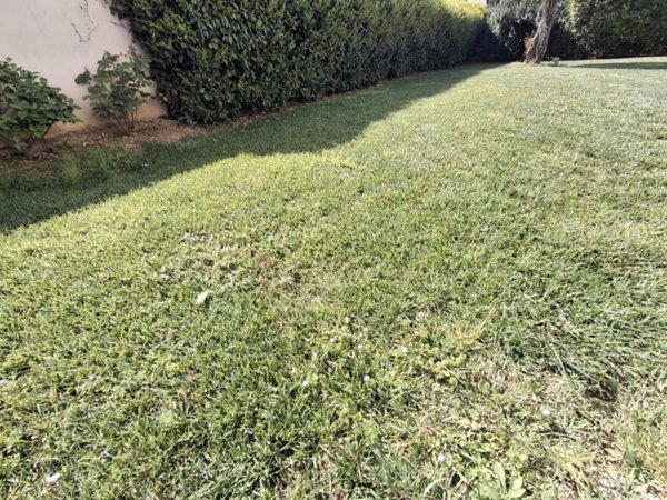 appartamento in vendita a Pistoia in zona Bottegone