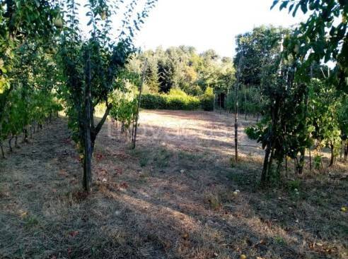 terreno agricolo in vendita a Pistoia in zona San Felice