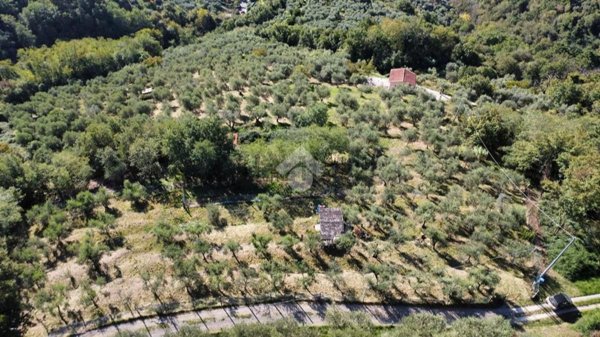 terreno agricolo in vendita a Pistoia in zona Valdibure