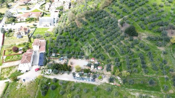 terreno agricolo in vendita a Pistoia in zona San Felice