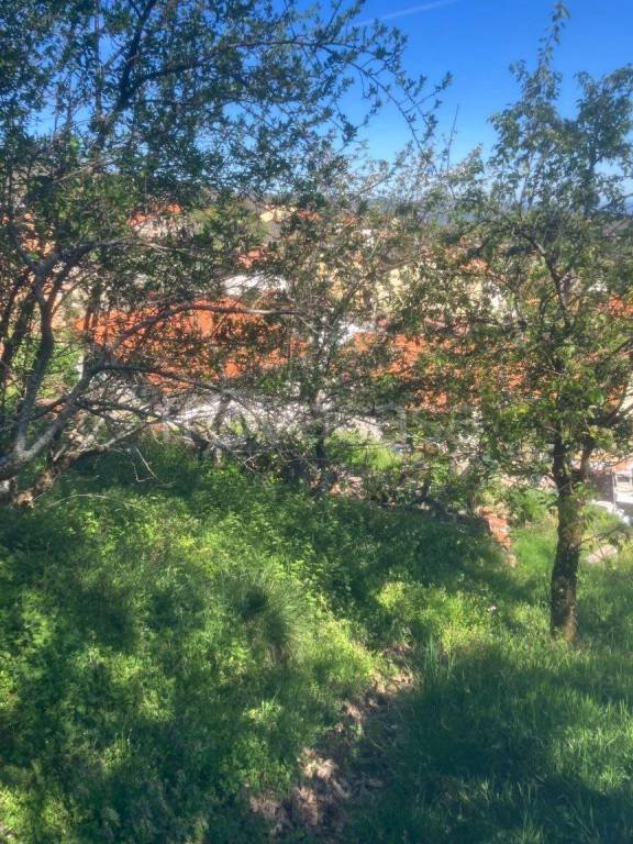 casa indipendente in vendita a Pistoia in zona Le Piastre