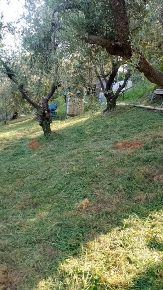 terreno agricolo in vendita a Pistoia in zona Caloria