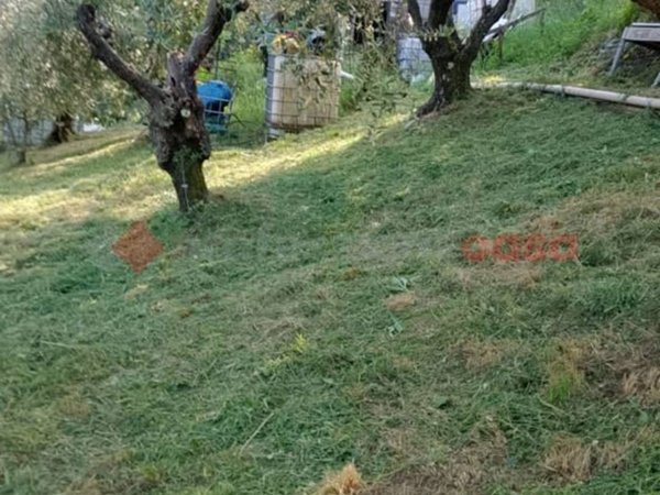 terreno agricolo in vendita a Pistoia in zona Valdibure