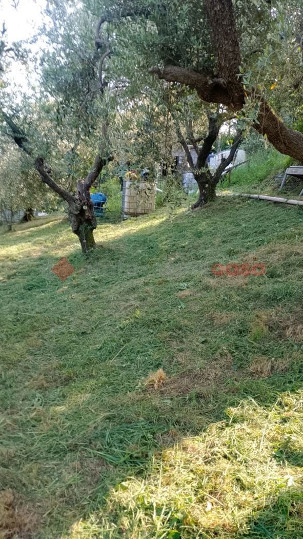 terreno agricolo in vendita a Pistoia in zona Caloria