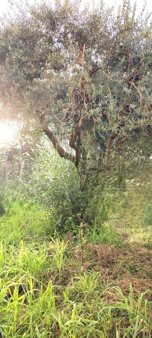 appartamento in vendita a Pistoia in zona Centro Città