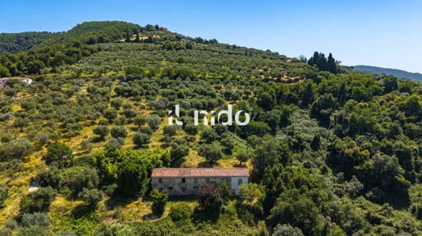 esavano in vendita a Pistoia in zona Valdibrana