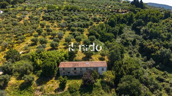 esavano in vendita a Pistoia in zona Valdibrana
