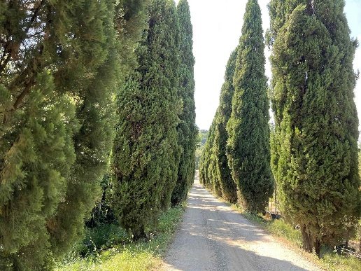 appartamento in vendita a Pistoia in zona Spazzavento