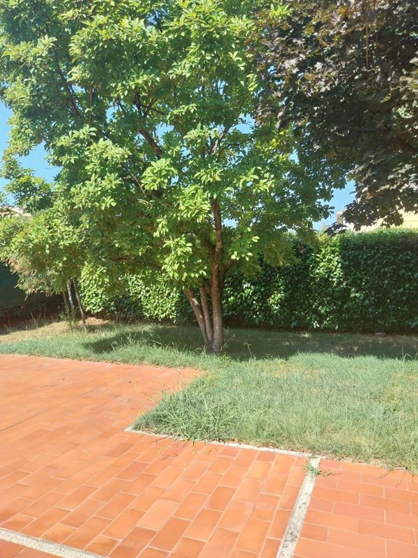 casa indipendente in vendita a Pistoia in zona Centro Città