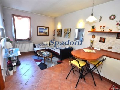 appartamento in vendita a Ponte Buggianese in zona Vione