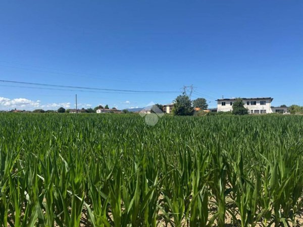 terreno agricolo in vendita a Ponte Buggianese